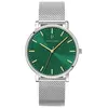 PIERRE LANNIER Montre Homme ESSENTIAL Argenté Cadran Vert Bracelet Acier milanais Argenté 20 MM
