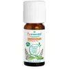 Puressentiel Etherische Oliën van Groene Munt (Mentha Spicata) Bio 10 ...