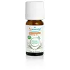 Puressentiel Vetiver Etherische Oliën (Chrysopogon Zizanioides) Bio 5 ...