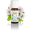 Puressentiel Borneol Tijm Etherische Olie (Thymus Saturejoides) Bio 10...