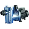 Pompe de Filtration - PEDROLLO - Winner 50 M - 0,37 kW - 12 m3/h - Mon...