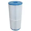 Filtre spa Gota Pure GP2128 pour Blue Lagoon BLSF-13