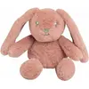Peluche musicale