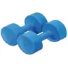 Paire d'haltères ciment Sporti France - bleu - 5 kg