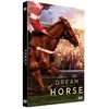 EUROZOOM Dream Horse DVD