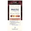 Phyto Phyto Color Coloration Cheveux Sans Ammoniaque Teinte 6.66 1 Pcs