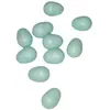 ANIMALLPARADISE 10 oeufs artificiel en plastique pour canari