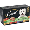Cesar Classics Sélection en terrine pour chien - terrines du jardin (4 x 150 g)