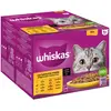 Whiskas Adult 1+ 48 x 85 g pour chat - Sélection de volaille en sauce