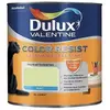 DULUX VALENTINE COLOR RESIST - Peinture intérieure murs et boiseries -...