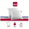 ABEIL Lot de 2 Oreillers DOUBLE CONFORT 100% Coton 60x60cm