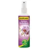 ALGOFLASH Hydratant Orchidées - 250ml