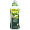 ALGOFLASH Engrais Plantes Vertes 750 mL