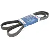 Bosch Automotive Multiriem