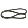 BOSCH 1987948494 - Cinghie - Cinghie Poly-V