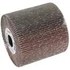 Bosch Professional Zubehör, Abrasifs, Rouleau abrasif à lamelles, 19 m...