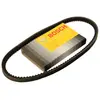 Bosch V-Snaar