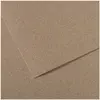 CANSON tekenpapier Mi-Teintes, 500 x 650 mm, groen