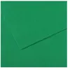 CANSON MA 25 FEUIL MI TEINTES VRT BIL
