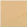 Canson - Papier Dessin Mi-teinte 50x65 Lichen - Paquet De 25