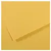 CA03 MI-TEINTE 160G 50X65 BOUTON D'OR 40