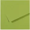 CANSON papier dessin Mi-Teintes 500 x 650 mm, vert