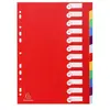 Exacompta 15x Tabbladen in stevige Ondoorzichtige PP - 12 tabs - A4 - ...