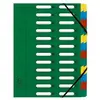 Exacompta Trieur HARMONIKA® à fenêtres avec élastiques Nature Future carte lustrée 24 compartiments Vert