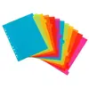 Viquel Lot de 12 intercalaires A4 maxi pour classeur maxi ou classeur ...