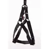 Martin sellier instap tuig nylon zwart - 20 MMX50-70 CM