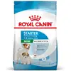 4kg Royal Canin Mini Starter Mother & Babydog - Croquettes pour chien