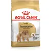 Royal Canin Spitz Nain Adult pour chien - 1,5 kg