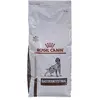 Royal Canin Veterinary Diet Gastro Intestinal - Hondenvoer - 15 kg