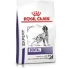 Royal Canin Veterinary Diet Canine Dental Medium & Large Dogs | 13 kg