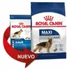 Royal canin Chien Royal canin maxi adult 4 Kg