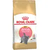 10kg Kitten British Shorthair Royal Canin pour chaton