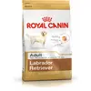 Labrador Adulte - nourriture sèche pour chien - 12 kg - Royal Canin