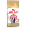Royal Canin Persian Kitten - Kitten-Kattenvoer - 2 kg