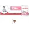 Royal Canin Medium Starter Mother & Babydog - Hondenvoer - 12 kg