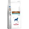 Royal Canin Veterinary Gastrointestinal Moderate Calorie pour chien - ...