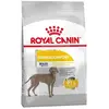 Royal Canin Maxi Dermacomfort 12 KG