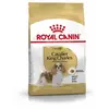 3kg Adult Cavalier King Charles Royal Canin pour chien