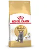 4kg British Shorthair Royal Canin pour chat