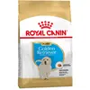 3kg Puppy Golden Retriever Royal Canin pour chiot