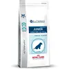 12kg Royal Canin Expert Neutered Junior Large Dogs - Croquettes pour c...