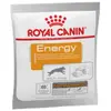 50g Energy Royal Canin pour chien