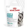 Royal Canin Joint & Ageing Adult Supplement pour chien - 240 g