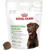 Royal Canin Digestion Adult Supplement pour chien - 160 g