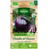 Aubergine violette de Florence bio Vilmorin