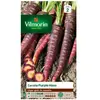 VILMORIN Sachet graines Carotte Violette Purple Haze-